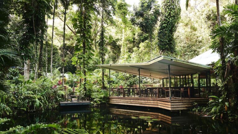 6-4.E3808CDaintree20EcolodgeE3808DE38082E59C96E78987E794B1Booking.comE68F90E.jpeg