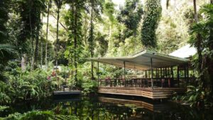 6-4.E3808CDaintree20EcolodgeE3808DE38082E59C96E78987E794B1Booking.comE68F90E.jpeg